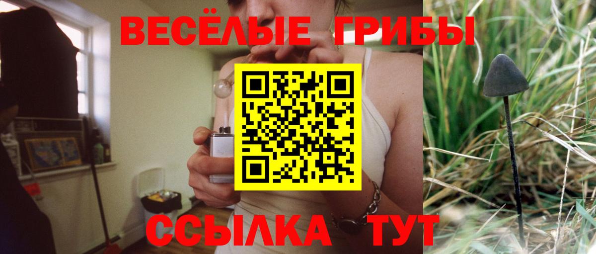Галлюциногенные грибы Magic Shrooms Качканар