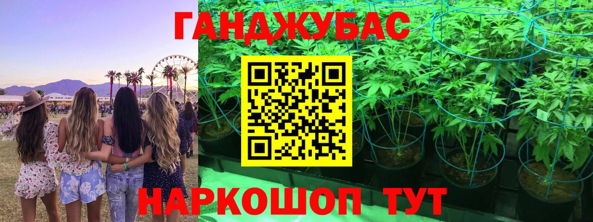 Бошки марихуана Amnesia  Бошки Шишки план  Вход с VPN  Качканар  Конопля план 